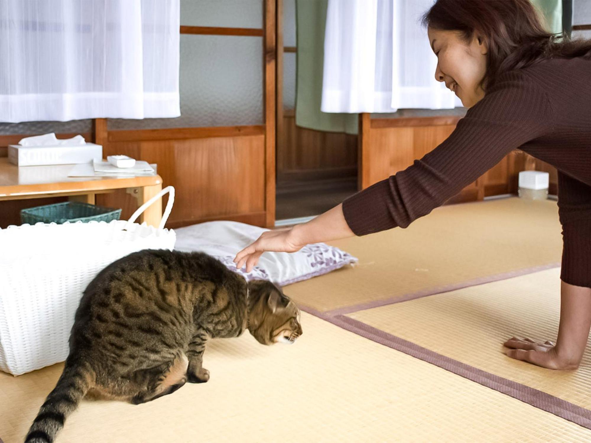 Guest Cafe Kuchikumano Hotel Kamitondacso Kültér fotó
