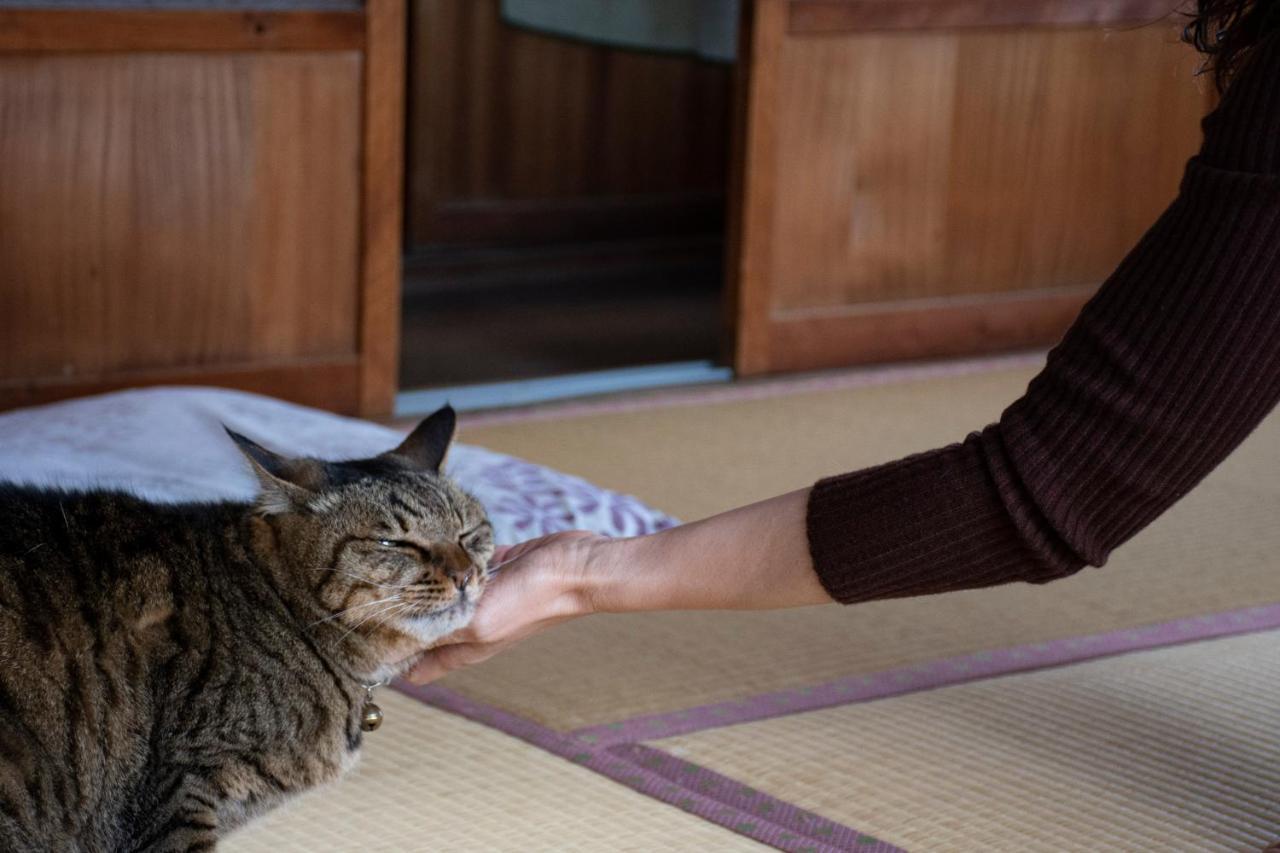 Guest Cafe Kuchikumano Hotel Kamitondacso Kültér fotó
